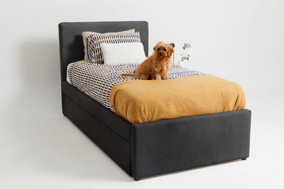 Lucy (Trundle Bed) - Amy Charcoal